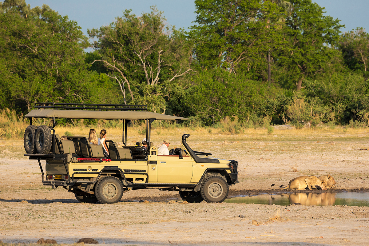 Safari-vehicle