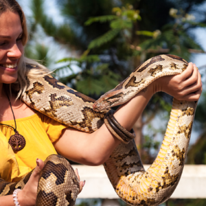 Snake Park Tour