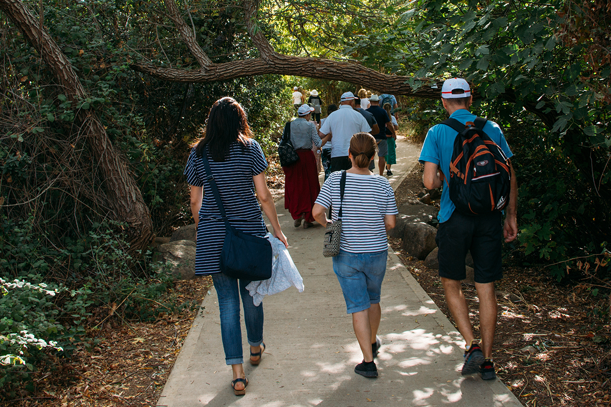 nature-trail