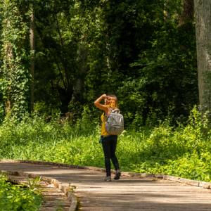 Bamburi Nature Trail