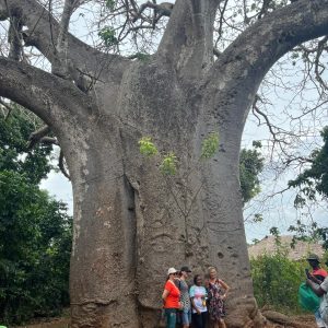 Funzi Island Day Tour