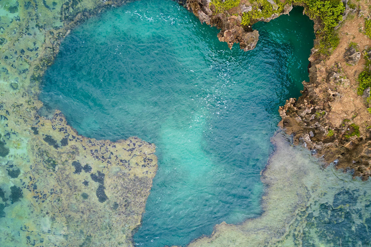 pool of africa