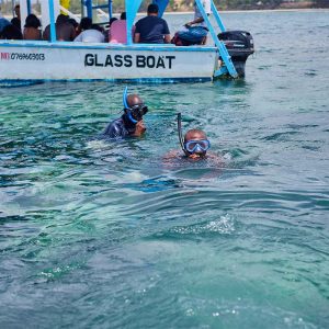 Snorkelling At Robinson Island