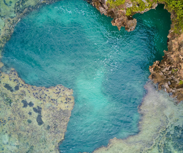 pool of africa